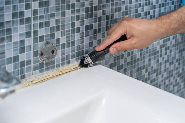 Office Mold Removal Services in North Key Largo, FL