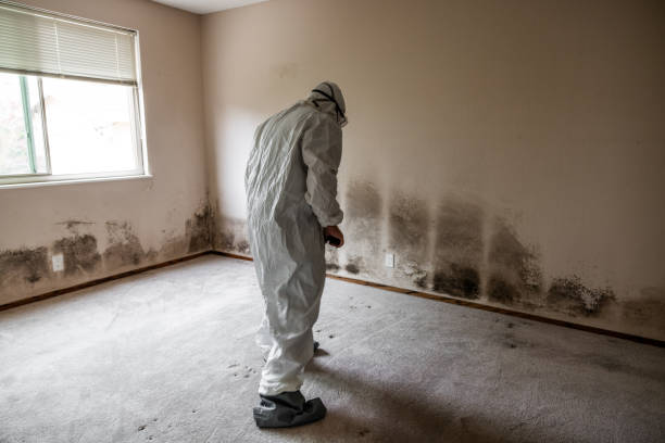 Best Mold Testing  in North Key Largo, FL