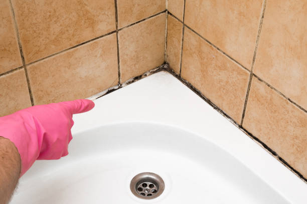 Best Crawl Space Mold Removal  in North Key Largo, FL